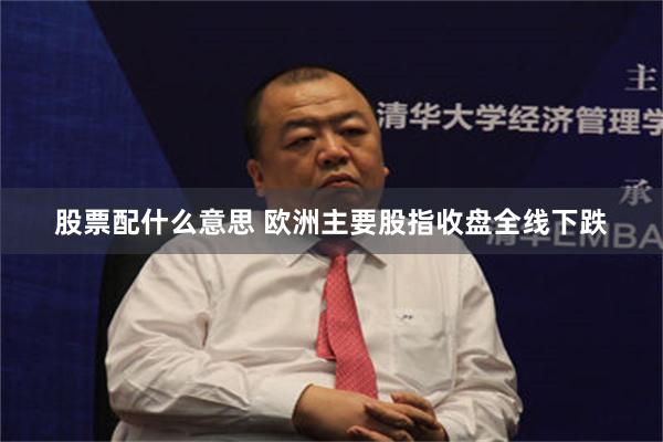 股票配什么意思 欧洲主要股指收盘全线下跌