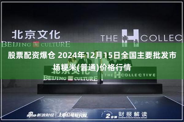 股票配资爆仓 2024年12月15日全国主要批发市场粳米(普通)价格行情