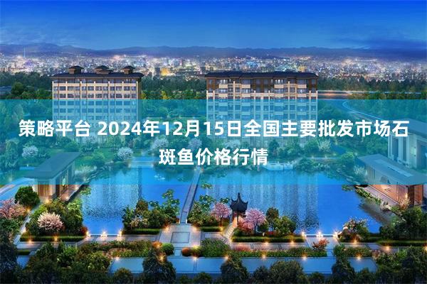 策略平台 2024年12月15日全国主要批发市场石斑鱼价格行情