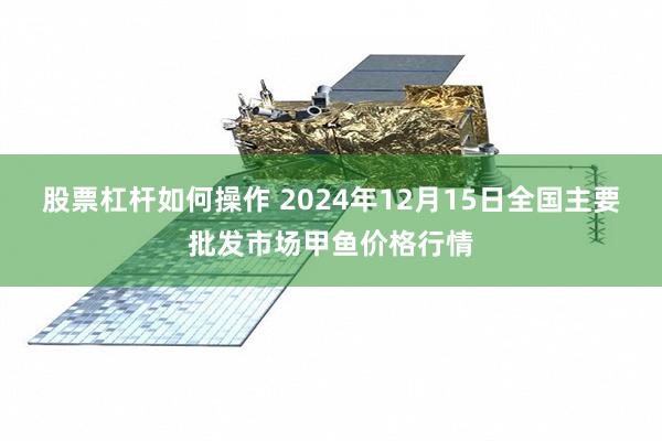 股票杠杆如何操作 2024年12月15日全国主要批发市场甲鱼价格行情