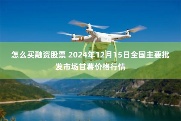 怎么买融资股票 2024年12月15日全国主要批发市场甘薯价格行情