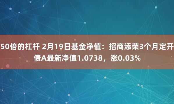 50倍的杠杆 2月19日基金净值：招商添荣3个月定开债A最新净值1.0738，涨0.03%