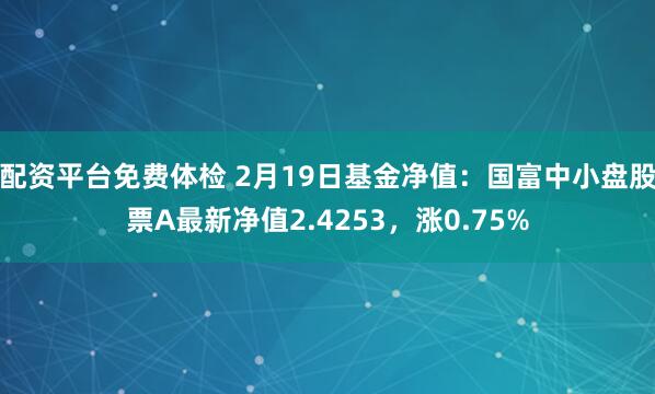 配资平台免费体检 2月19日基金净值：国富中小盘股票A最新净值2.4253，涨0.75%