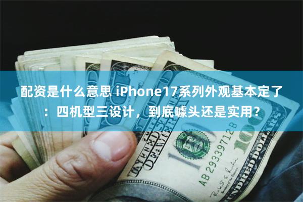 配资是什么意思 iPhone17系列外观基本定了：四机型三设计，到底噱头还是实用？