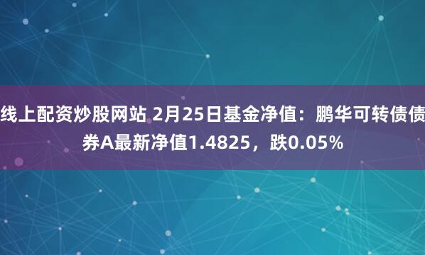 线上配资炒股网站 2月25日基金净值：鹏华可转债债券A最新净值1.4825，跌0.05%